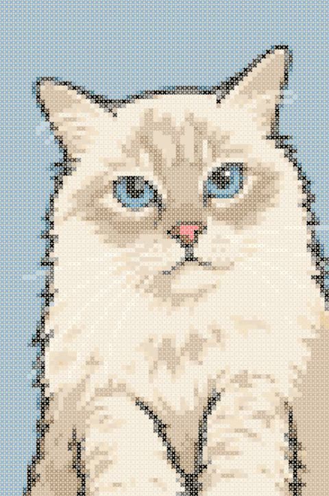 The same cat as a cross stitch pattern