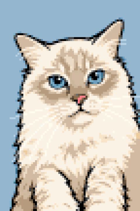 The same cat as a paint by numbers canvas
